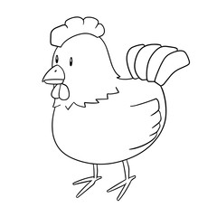 vector of chicken