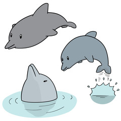Fototapeta premium vector set of dolphin