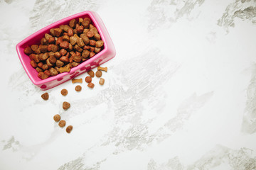 Dry pet food in bowl