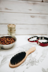 Dry pet food in bowl