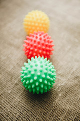 Dry pet food in bowl