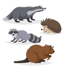 Forest animals set. Badger, hedgehog, raccoon, and beaver. Happy smiling and cheerful characters. Vector zoo illustrations isolated on white background.