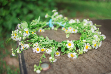 Beautiful wreath of field chamomiles