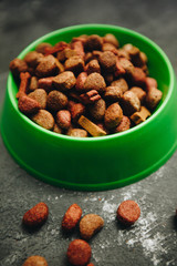 Dry pet food in bowl