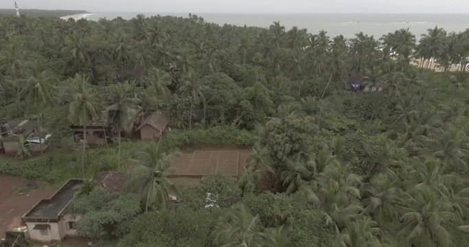 A drone flying over palm trees near a beach with houses and small farm fields in the view.