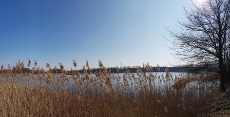 Stawy Milickie © michalsen