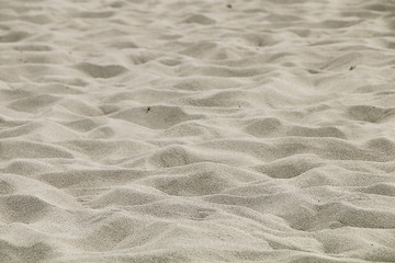 Texture - a fragment of a tropical beach on the beach of white fine sand