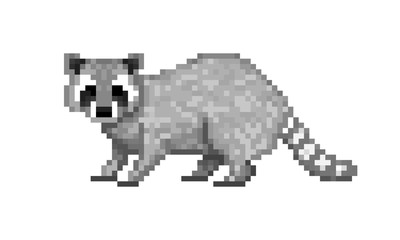 Cute gray common raccoon, pixel art symbol isolated on white background. Wildlife animal. Old school 8 bit slot machine pictogram. Retro 80s; 90s video game graphics. Zoo/national park/forest mammal.