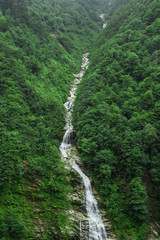 General landscape view of waterfall on a mountain in Ayder Plateau, Rize. Waterfall is flowing between trees.