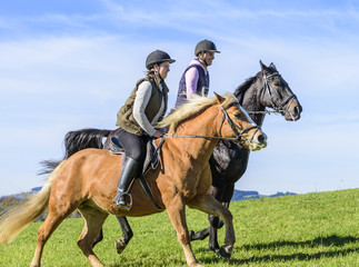 flott unterwegs mit dem Pferd