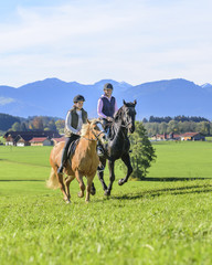 gemeinsam Pferdesport betreiben
