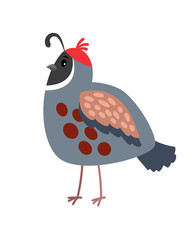 Quail cartoon bird icon