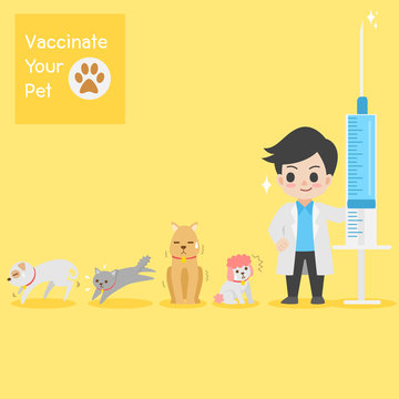 Frighten cute dogs, cat, doctor with injection needle character for vaccinate pets on background, vaccine concept, safety life, people health care, medical, medicine, flat design vector illustration.