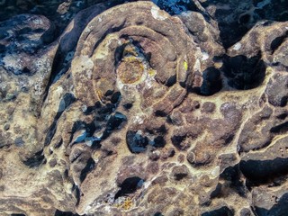 Beautiful pattern on the stone.
