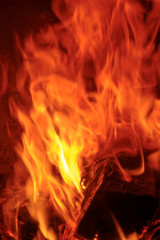 Close-up of firewood burning in fire