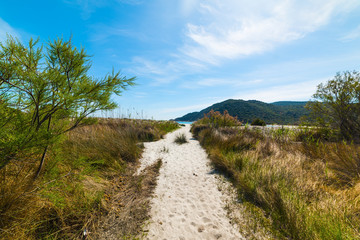 Walk path to the beach in Cala Pira