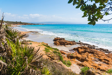 Plants by the sea in Le Bombarde beach