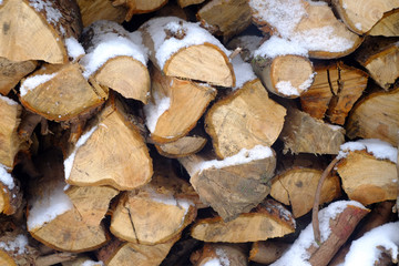 Winter firewood