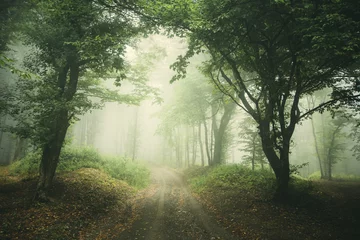 Tuinposter mistige bosweg achtergrond © andreiuc88