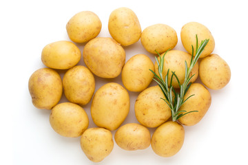 New potato and rosemarin isolated on white background close up.