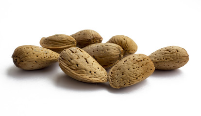 Insulated nuts of bitter almonds (Prunus dulcis var. amara)