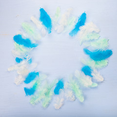 Feathers on color wooden background.