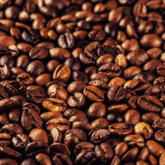 roasted coffee beans