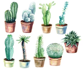 Tuinposter Cactus in pot Cactus geïsoleerd op een witte achtergrond. Aquarel hand getekende set illustratie.