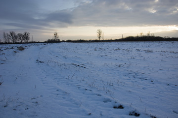 Winter evening and snow on the field