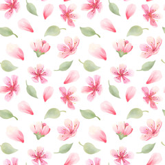 Cherry blossoms watercolor seamless pattern. Flowers, leaves on white background