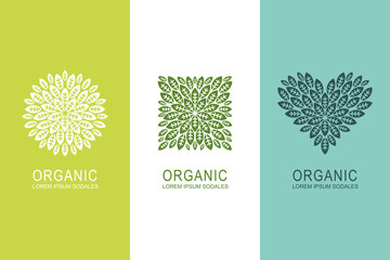 Logo or label concept with green leaves in circle, square and heart shape. Organic eco product design elements