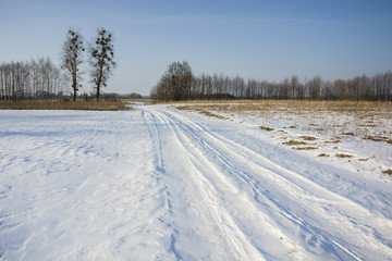 Fototapeta na wymiar Snow-covered country road, trees and blue sky