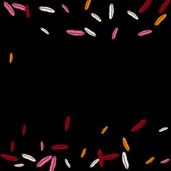 Colorful feathers. Prints of Colored feathers Design for Goods for Pets. Simple Pattern for Print, Logo or Poster. Vector Confetti Background.