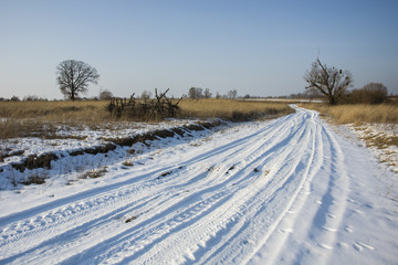 Fototapeta na wymiar Snow-covered road, meadows and trees