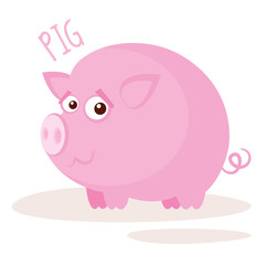 Pig Vector illustration isolated