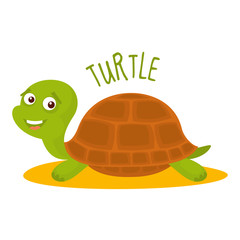 Obraz premium Turtle Vector illustration isolated