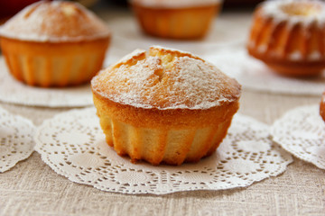 fresh biscuit muffins