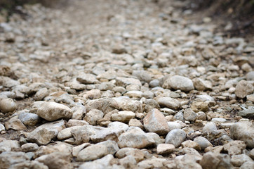 Stone road in the nature