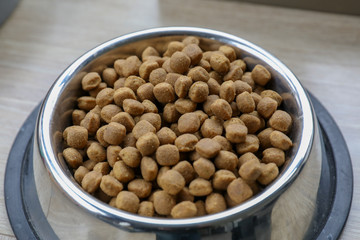 Accessories and food for a dog