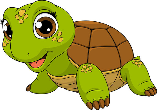 Cheerful child turtle