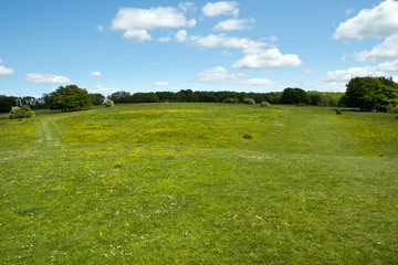 England, Cotswolds, Gloucestershire, open grasslands where The Cotswold Way long distance footpath passes Standish Wood viewpoint.