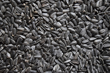 Black sunflower seeds.