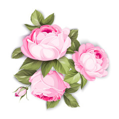 The Blooming Rose with couple of small flowers. Botanical vector illustration. Awesome single flower bouquet. Vector illustration.