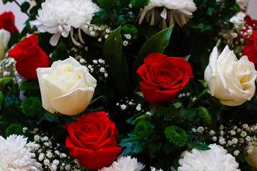 white and red roses background