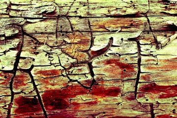 background of wooden plank texture wall with selected tone color. Abstract background of an old...