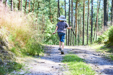 Obraz premium Small child boy walking or hiking on a path through the forest in summer with sun hat on head