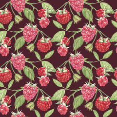 Hand drawn watercolor painting raspberry on white background. Botanical illustration. Seamless pattern