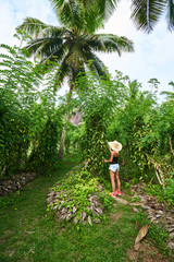 Naklejka na ściany i meble Woman tourist in a Vanilla plantation. La Digue island rural lan