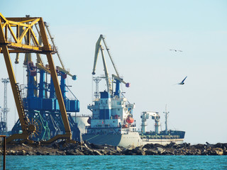 Fototapeta premium Large harbor cranes