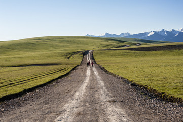 A road in the grassland, Xinjiang of China
